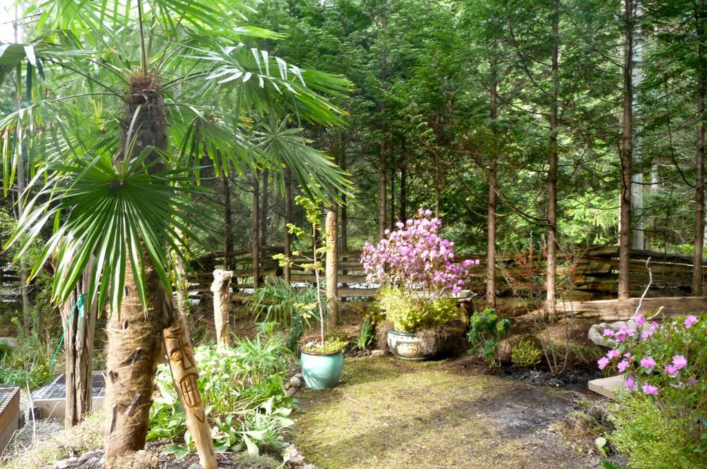 Magnolia Petal Bed & Breakfast Ganges Exterior photo