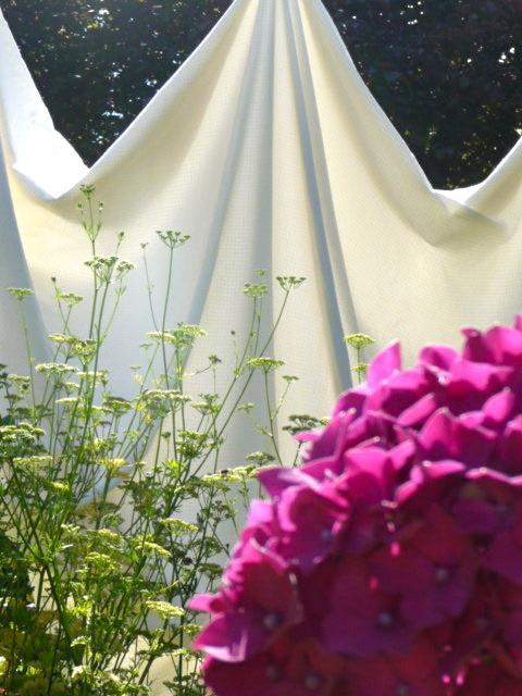 Magnolia Petal Bed & Breakfast Ganges Exterior photo
